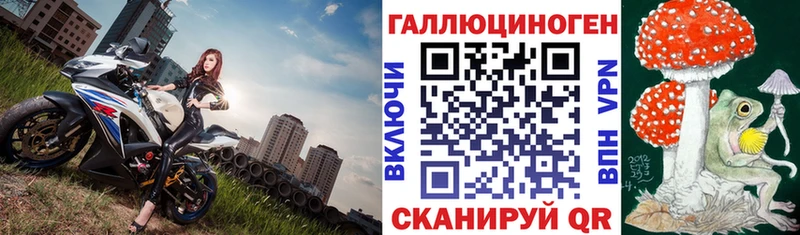 Галлюциногенные грибы Cubensis  Олонец 