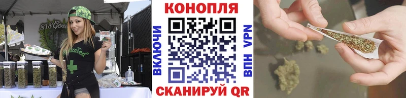 как найти наркотики  Олонец  Бошки Шишки семена 